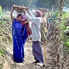 National-Rural-Employment